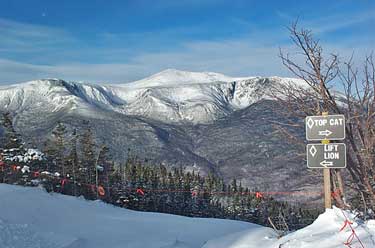 Mt Washington from Wildcat