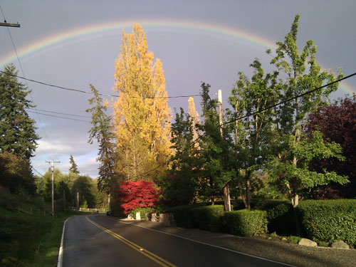 Rainbow on Crystal Springs Drive Bainbridge Island