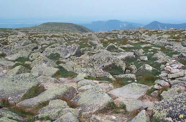 Tableland, a flat area below Mt. Katahdin.