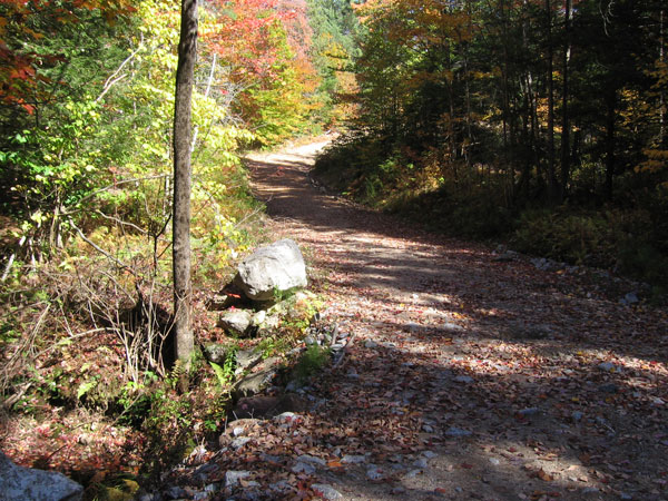 For a short distance the Lincoln Trail follows a dirt road that I think is mostly used by loggers.  