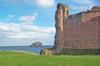 Scotland: Tantallon Castle and Bass Rock